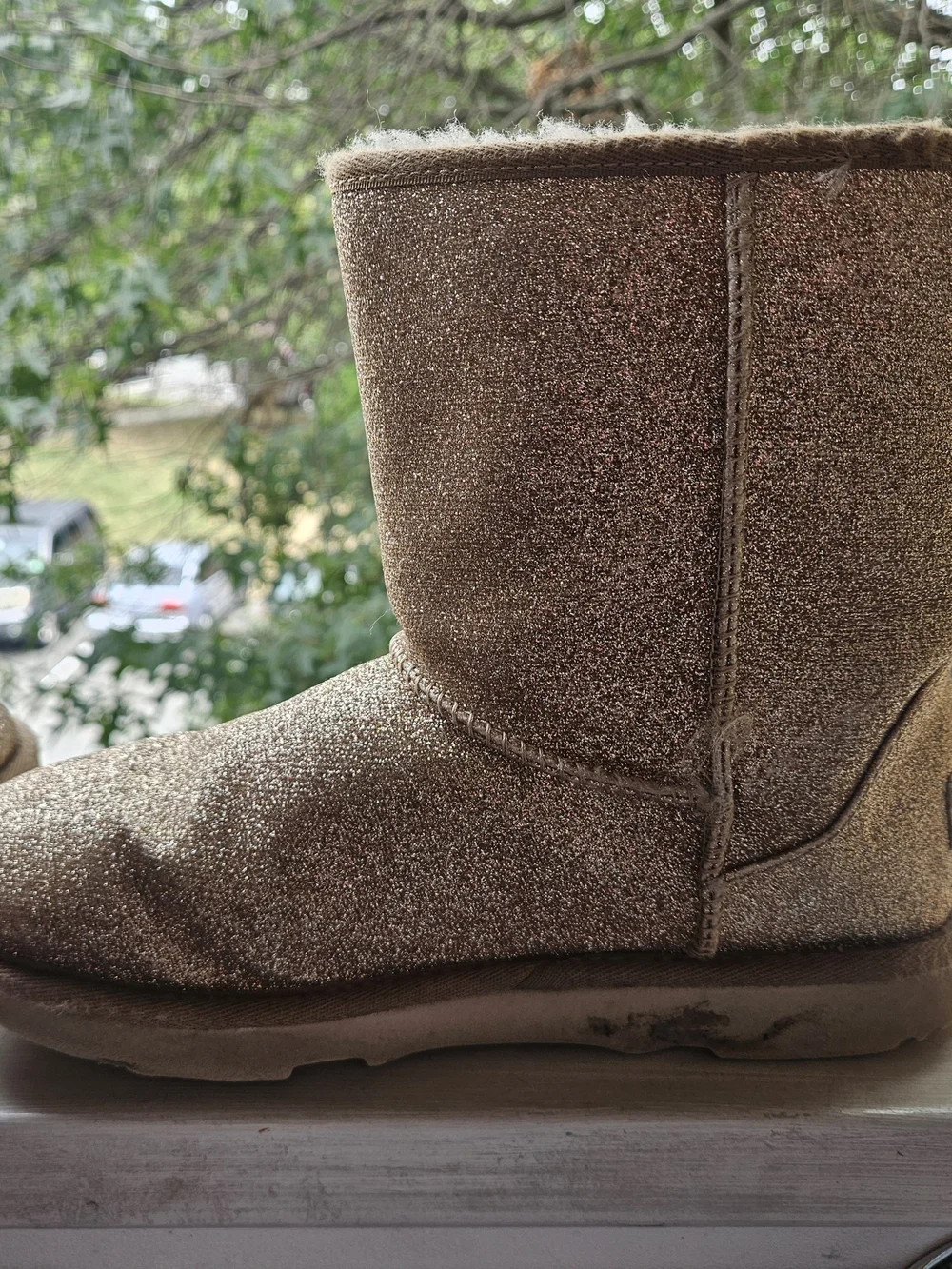 Ugg Sparkly Boots